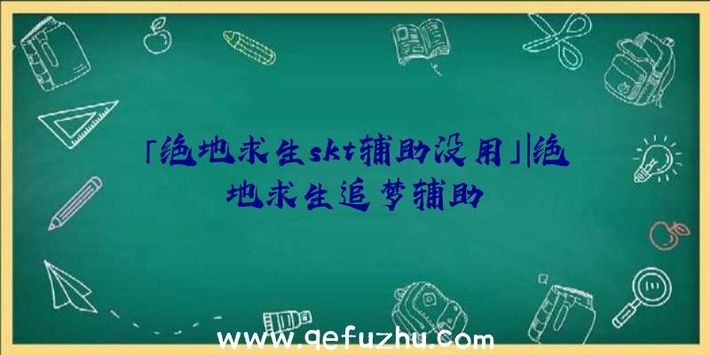 「绝地求生skt辅助没用」|绝地求生追梦辅助